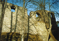 zbytky hradního zdiva