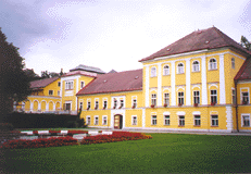 �ernovick� z�me�ek