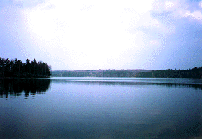 Sta�kovsk� rybn�k