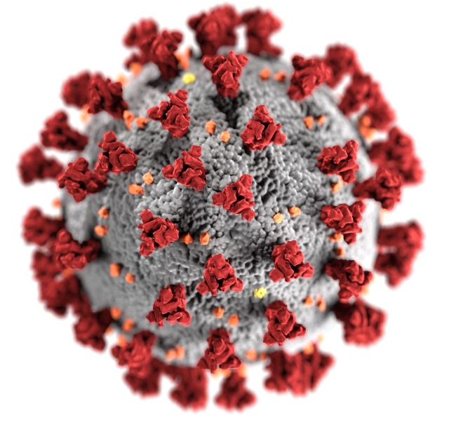Aktuální informace k epidemii koronaviru SARS-CoV-2